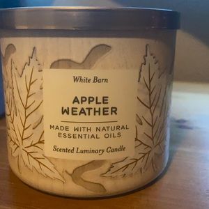 Apple weather candle